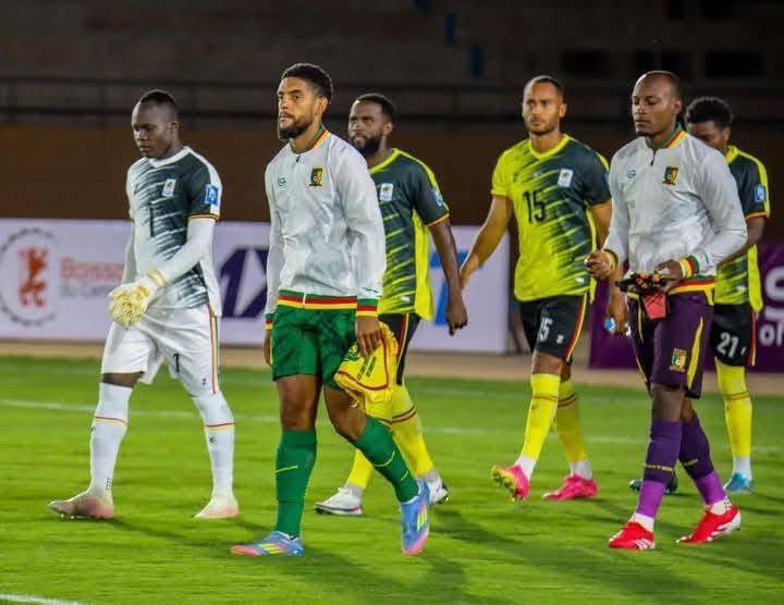 PP LIONS OK.jpg (45 KB)